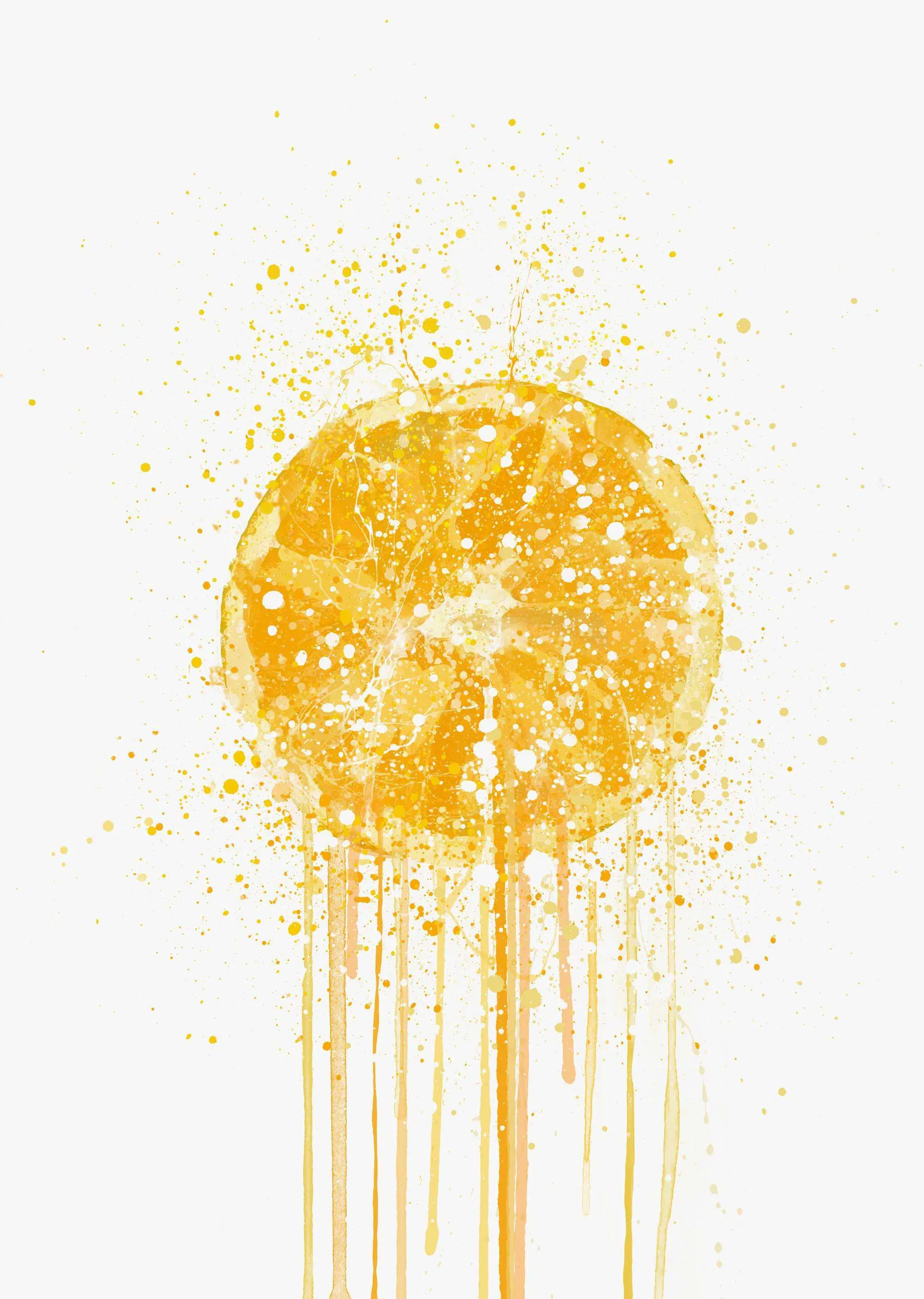 Orange Fruit Wall Art Print